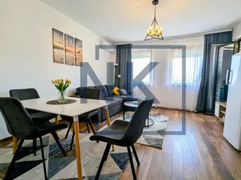 Izdavanje, jednosoban stan, 43m², Stari Aerodrom, Podgorica - image 4