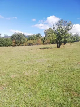 Prostran travnati plac okružen drvećem pod plavim nebom. - image 7