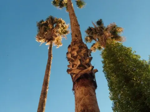 Sale, office space, 106m², Herceg Novi, Crna Gora - image 4