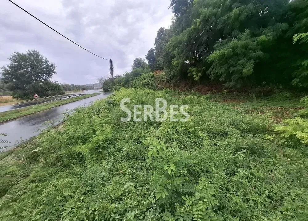 Sale, land lot, 59100m², Sremski Karlovci, Novi Sad