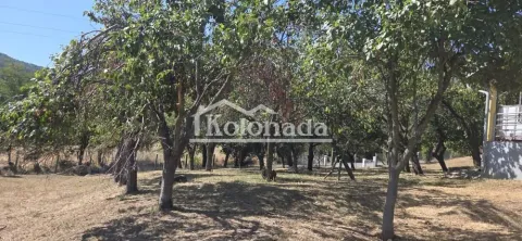 Dvorište puno drveća i zelenila sa pogledom na okolni prostor. - image 15