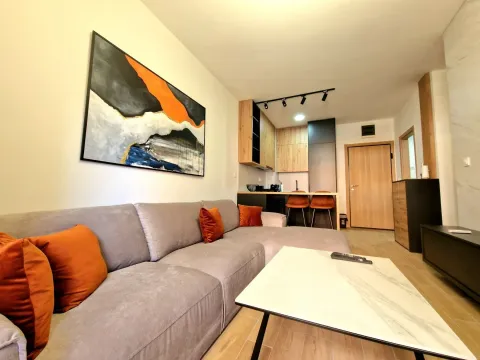 Rent, one bedroom apartment, 48m², Budva, Crna Gora - image 2