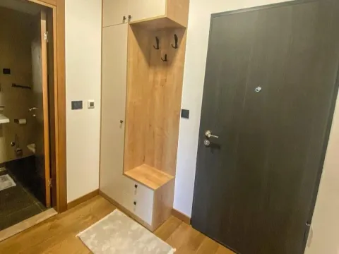 Izdavanje, jednosoban stan, 48m², Stara Varoš, Podgorica - image 2