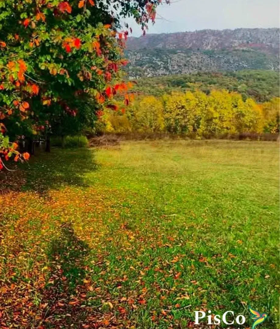 Prodaja, plac, Danilovgrad, Crna Gora