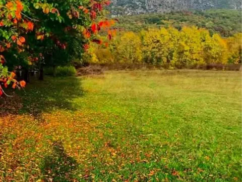 Prodaja, plac, Danilovgrad, Crna Gora - image 2