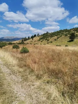 Pogled na prirodno okruženje i brdoviti pejzaž u blizini nekretnine. - image 6