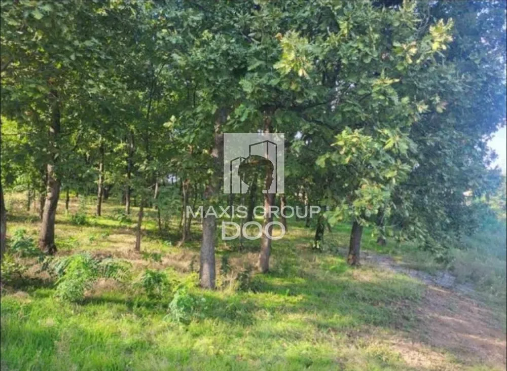 Prodaja, plac, 897100m², Arnajevo, Barajevo