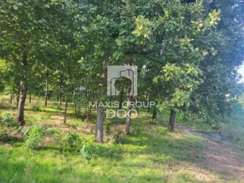 Prodaja, plac, 897100m², Arnajevo, Barajevo - image 12