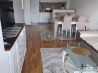 Izdavanje, jednosoban stan, 47m², Stari Aerodrom, Podgorica - image 3