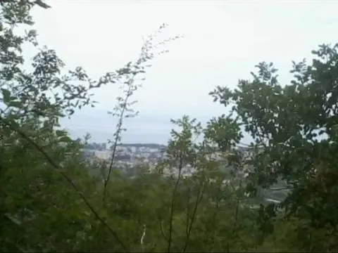 Sale, land lot, 13000m², Centar, Bar - image 1