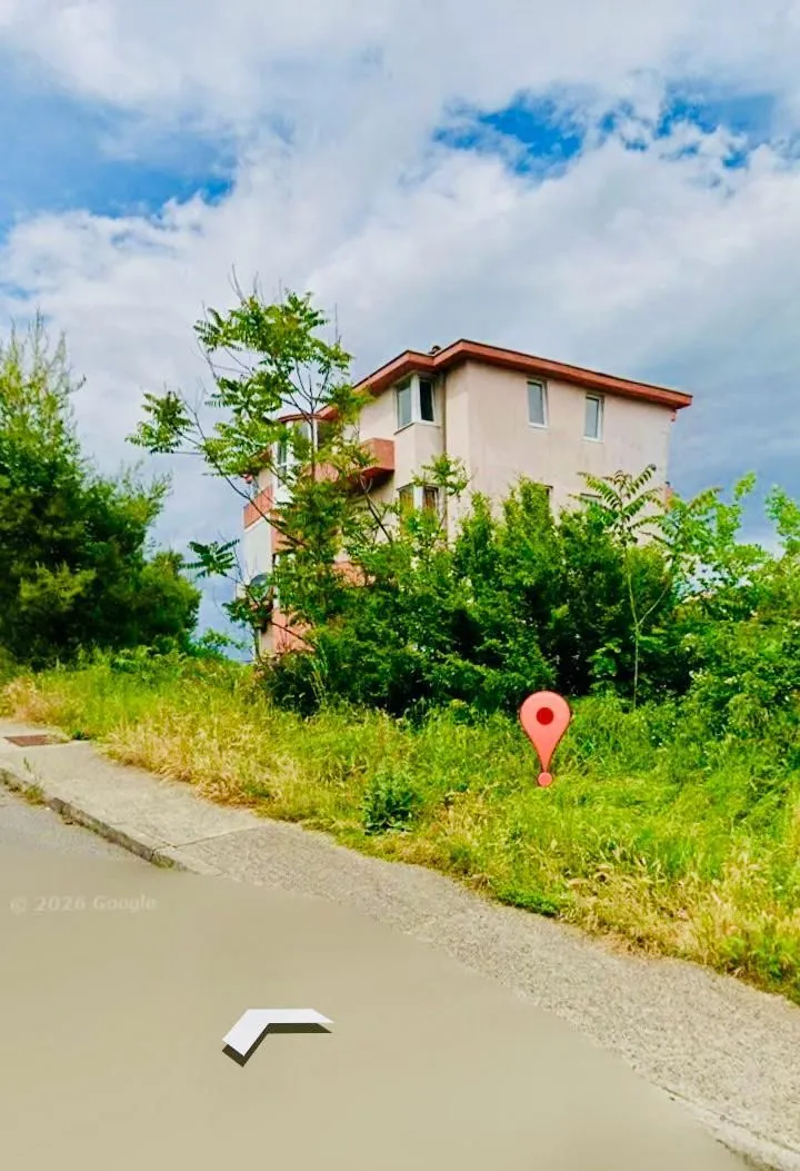 View of a residential building with greenery in front.