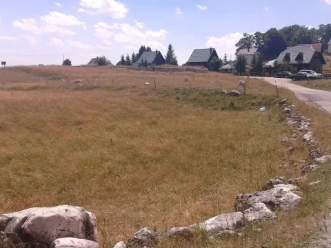 Zemljište in Motički gaj