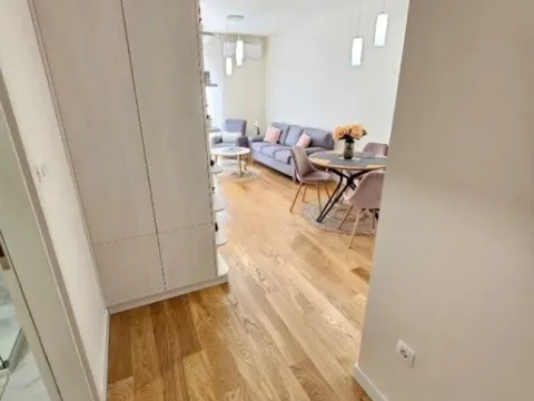 Izdavanje, jednosoban stan, 50m², Central Point, Podgorica - image 8