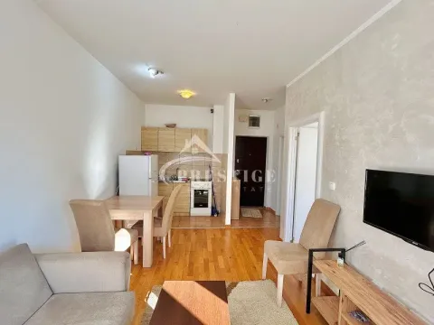 Izdavanje, jednosoban stan, 40m², Zabjelo, Podgorica - image 4