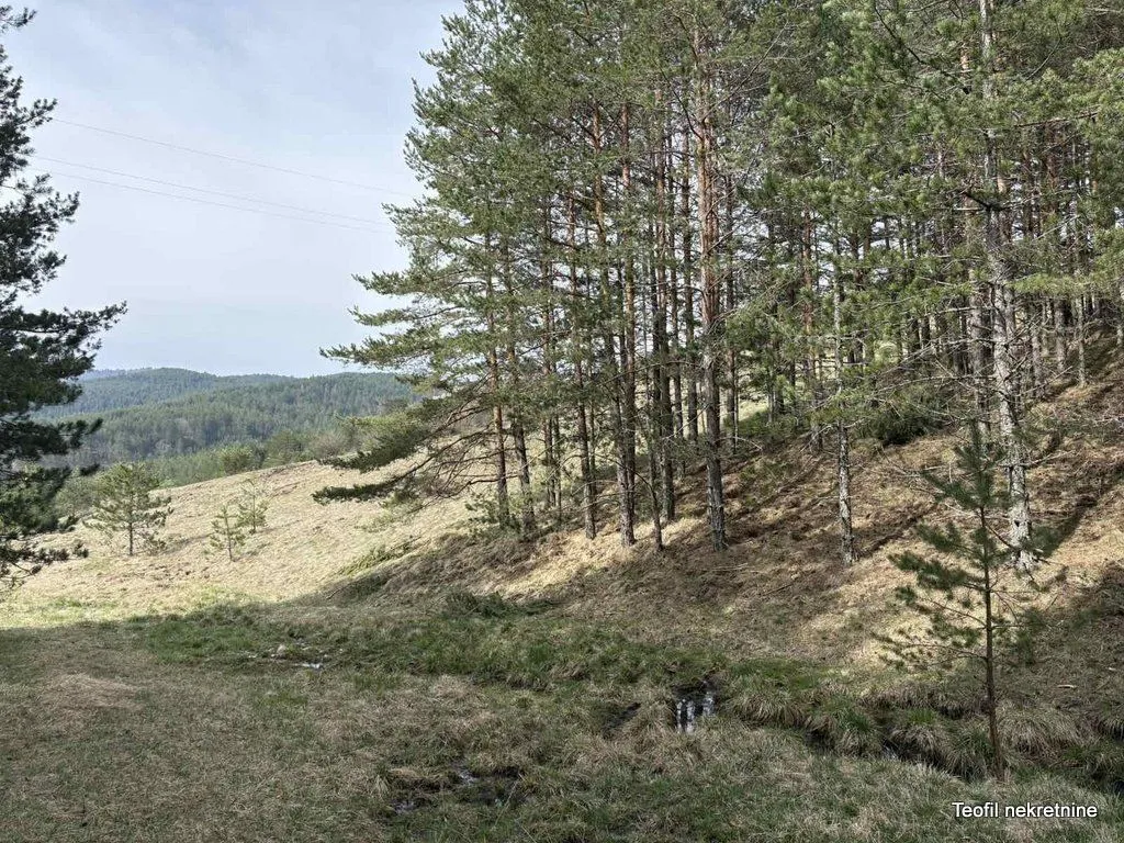 Prodaja, plac, 6600m², Zlatibor, Srbija