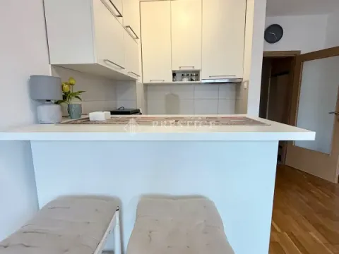 Rent, studio apartment, 30m², Tuški Put, Podgorica - image 4