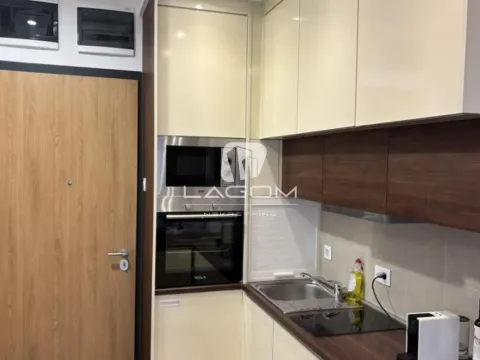 Rent, one bedroom apartment, 28m², Tošin bunar, Novi Beograd Sve Podlokacije - image 12