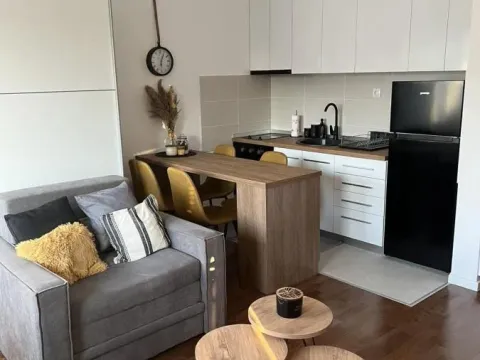 Rent, studio apartment, 30m², Adice, Novi Sad Sve Podlokacije - image 3