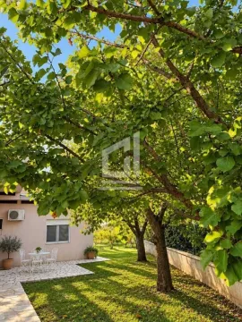 Zeleno dvorište sa stablima i garniturom za sjedenje ispred kuće. - image 11