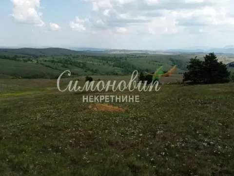 Sale, land lot, 200000m², Divčibare, Valjevo - image 5