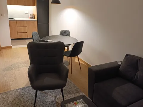 Rent, one bedroom apartment, 45m², City Kvart, Podgorica - image 1