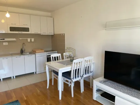 Rent, two bedroom apartment, 56m², Ljubović, Podgorica - image 4