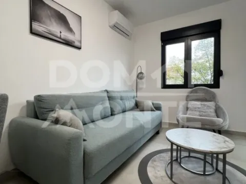 Izdavanje, jednosoban stan, 45m², Dumidran, Tivat - image 6