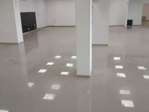 Rent, office space, 350m², Jugovićevo, Novi Sad Sve Podlokacije - image 5