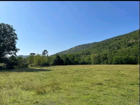 Prodaja, plac, 4999m², Ćurilac, Danilovgrad - image 5