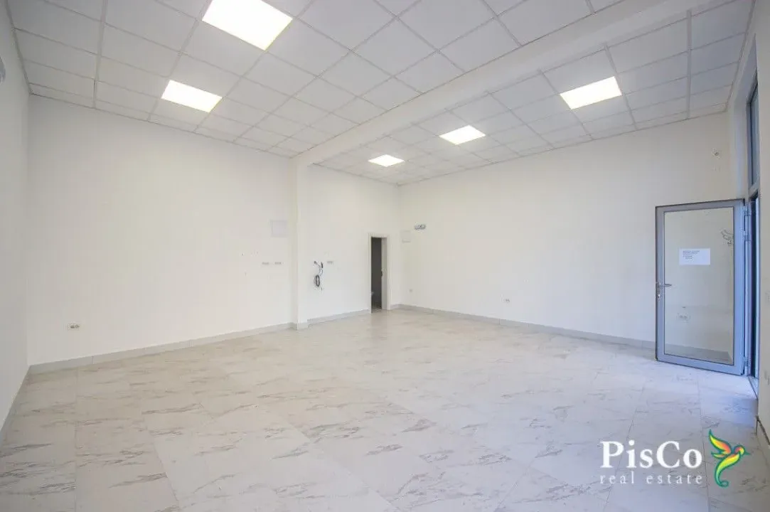 Izdavanje, poslovni prostor, 44m², Centar, Nikšić