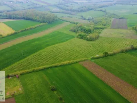 Sale, land lot, 38000m², Kožuar, Ub - image 11