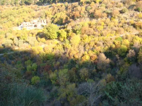 Prodaja, plac, 2000m², Kavač, Kotor - image 7