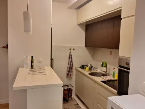 Izdavanje, jednosoban stan, 56m², Centar, Podgorica - image 5