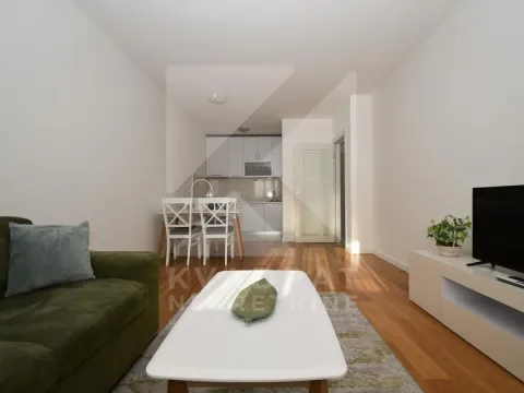 Rent, one bedroom apartment, 49m², Central Point, Podgorica - image 2