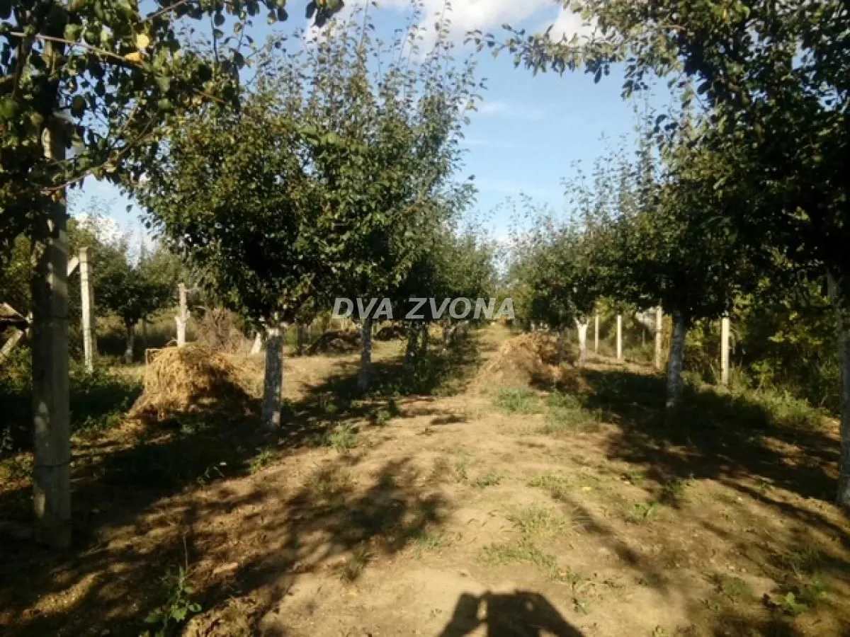 Prodaja, kuća, 86m², Čortanovci, Inđija