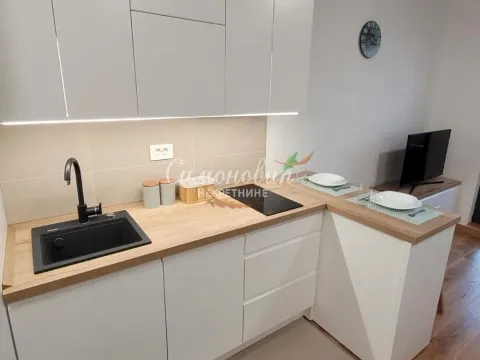 Rent, one bedroom apartment, 30m², Autokomanda, Voždovac Sve Podlokacije - image 15