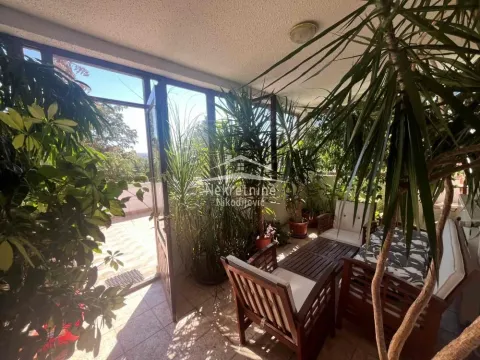 Enclosed terrace with seating furniture and numerous houseplants. - image 5
