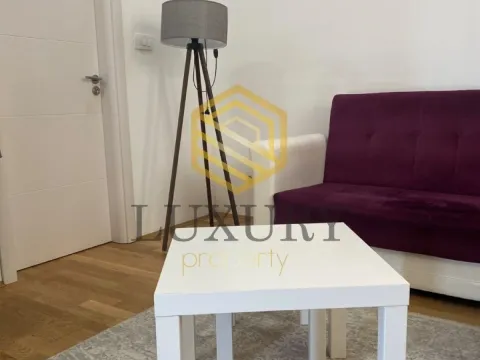 Rent, studio apartment, 30m², Zabjelo, Podgorica - image 7