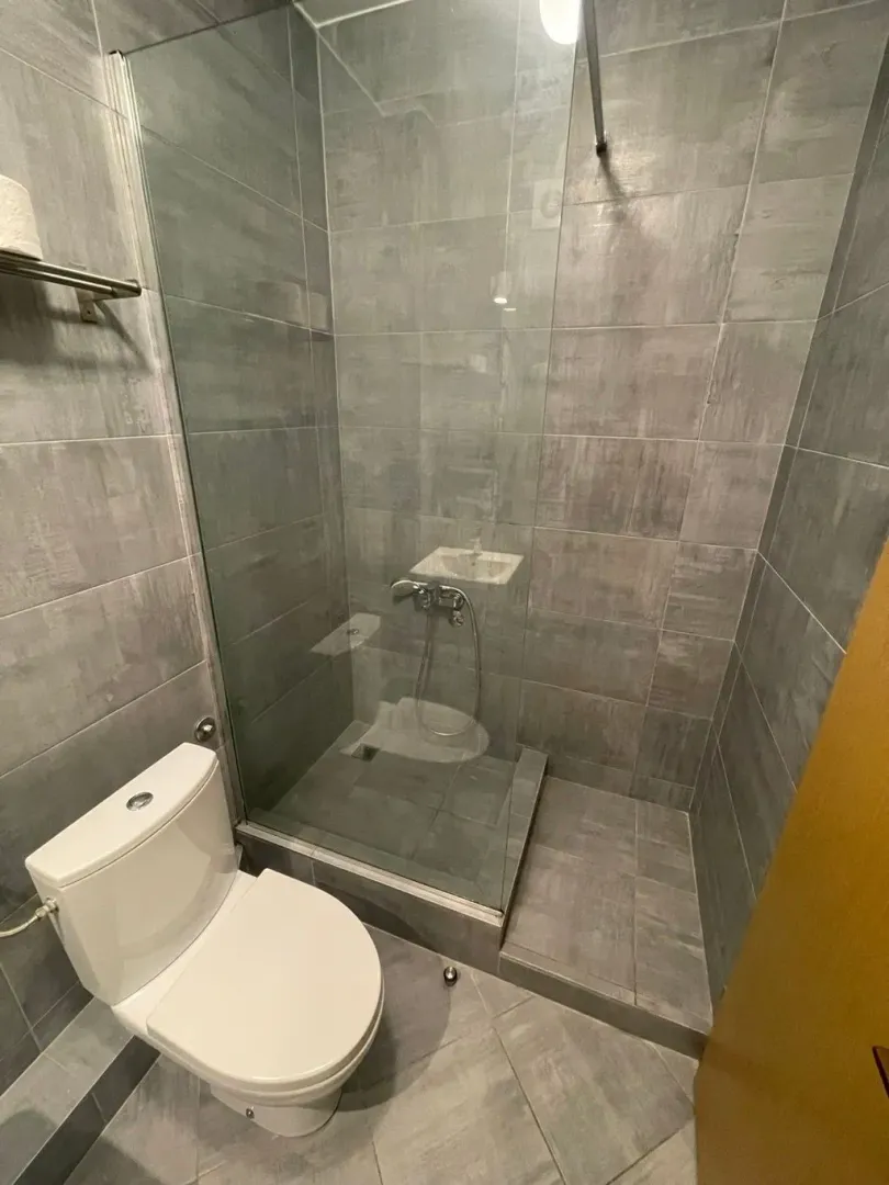 Modern bathroom with a walk-in shower and grey tiles.