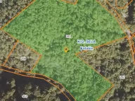 Sale, land lot, 24808m², Sela, Kolašin - image 3