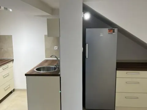 Rent, house, 247m², Sremska Kamenica, Petrovaradin - image 5