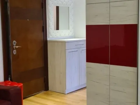 Izdavanje, dvosoban stan, 43m², Lion, Zvezdara Sve Podlokacije - image 4