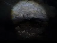 Sale, land lot, 240000m², Štitari, Cetinje - image 20