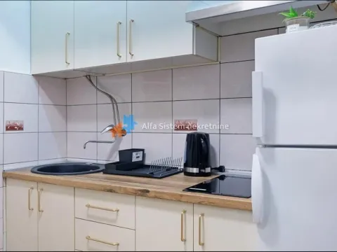 Izdavanje, stan, 45m², Neimar, Vračar Sve Podlokacije - image 6