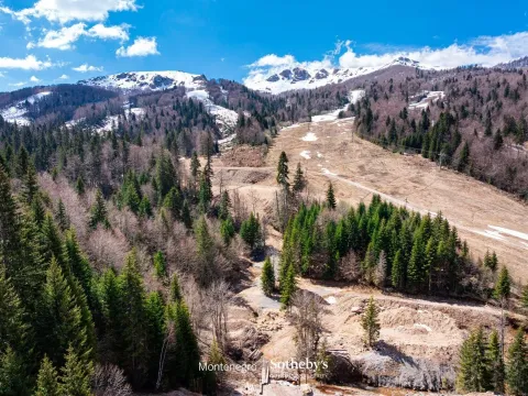 Prodaja, plac, 11940m², Kolašin, Crna Gora - image 10