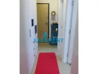 Izdavanje, stan, 52m², Zemun Sve Podlokacije, Beograd - image 11