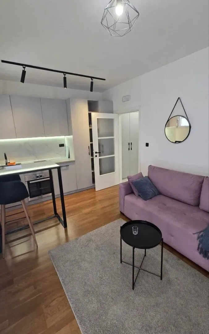 Izdavanje, jednosoban stan, 24m², Zagorič, Podgorica