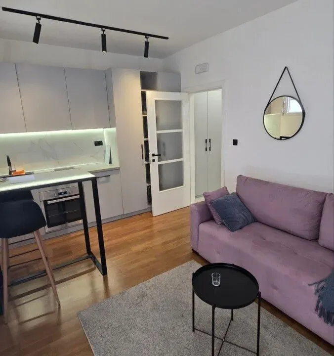 Rent, one bedroom apartment, 24m², Zagorič, Podgorica
