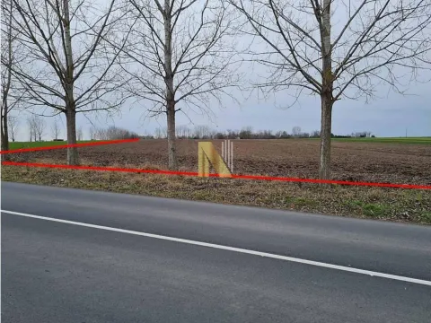 Sale, land lot, 12692m², Palić, Subotica - image 4