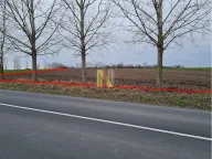 Prodaja, plac, 126m², Palić, Subotica - image 4